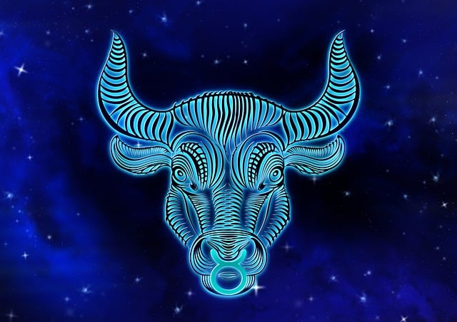 Taurus Year 2023 : Guide to Success and How to Prepare